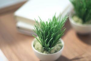 東京都立川のタカラスタンダード立川ショールーム：最新設備と専門スタッフによるリフォーム提案