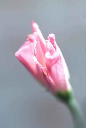 テーブルを彩るティーライトキャンドル