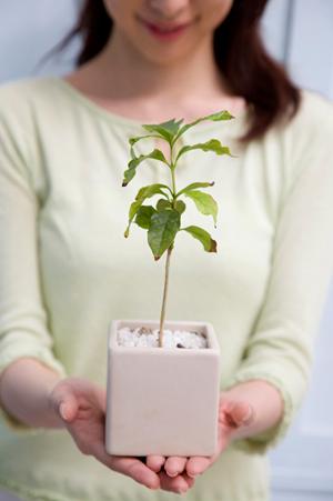 大阪で自社職人が直接行うクロス張替え