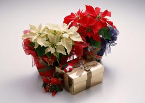 理想の洗面化粧台が見つかります