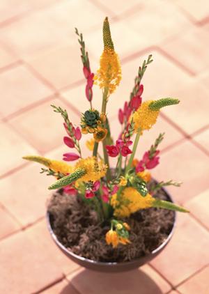 雰囲気ある和風家具を揃えている