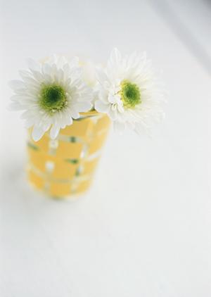 カーテンズの遮光カーテンの魅力